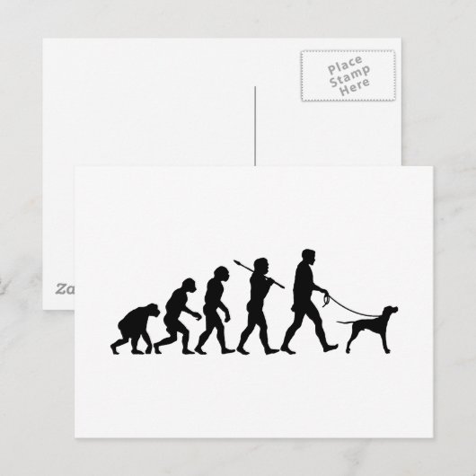 Engelse pointer briefkaart (Voorkant / Achterkant)