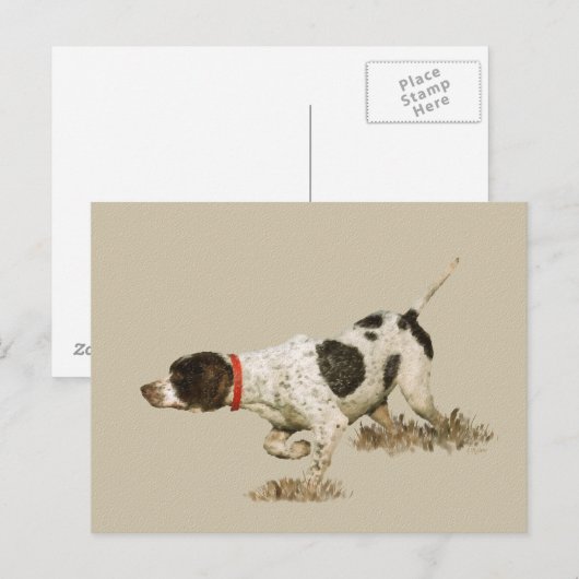 Engelse pointer briefkaart (Voorkant / Achterkant)