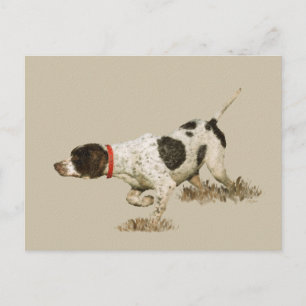 Engelse pointer briefkaart