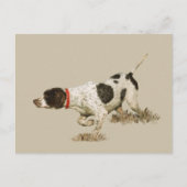 Engelse pointer briefkaart (Voorkant)