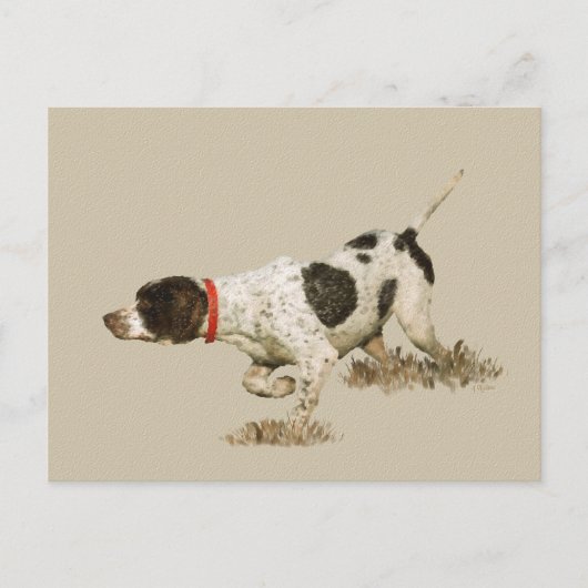 Engelse pointer briefkaart (Voorkant)