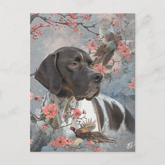 Engelse Pointer  Briefkaart (Voorkant)