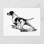 Engelse pointer briefkaart (Voorkant)