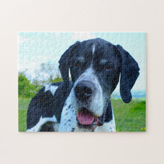 Engelse pointer Dog. Legpuzzel (Horizontaal)