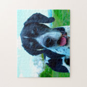 Engelse pointer Dog. Legpuzzel (Verticaal)