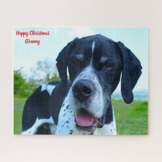 Engelse pointer Dog. Legpuzzel (Horizontaal)