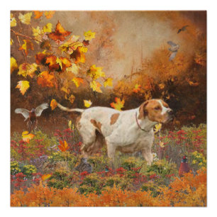 Engelse pointer, Herfst Tapijt Perfect Poster
