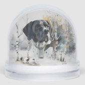 Engelse pointer, jagen sneeuwbol (Voorkant)