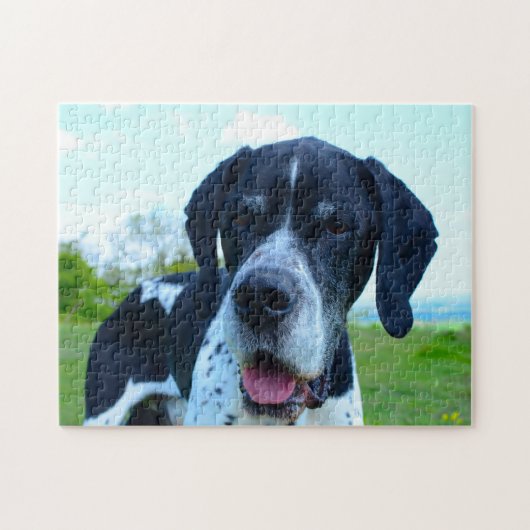 Engelse Pointer. Legpuzzel (Horizontaal)