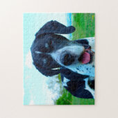 Engelse Pointer. Legpuzzel (Verticaal)