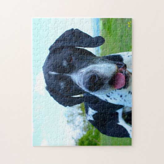 Engelse Pointer. Legpuzzel (Verticaal)