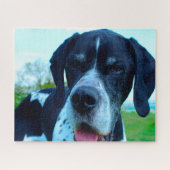 Engelse Pointer. Legpuzzel (Horizontaal)