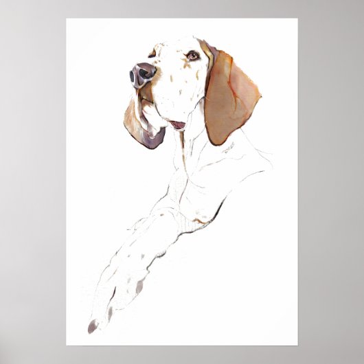 Engelse Pointer Muur Kunst Poster, Hond Kunstprint Poster (Voorkant)