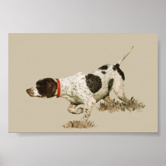 Engelse pointer poster (Voorkant)