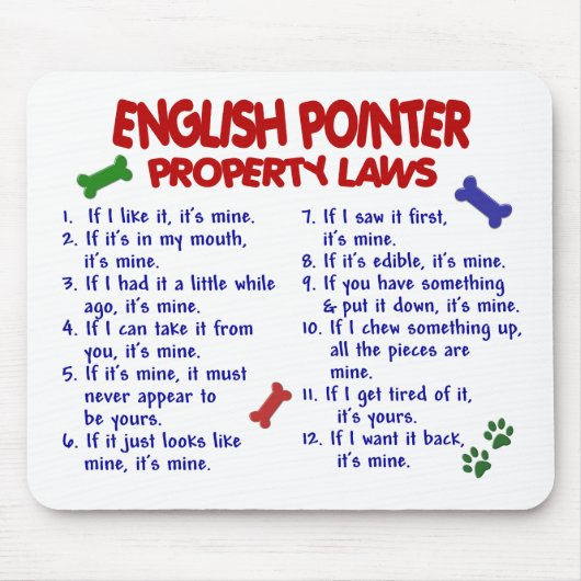 ENGELSE POINTER Property Laws 2 Muismat (Voorkant)