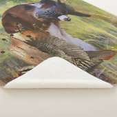 Engelse pointer sherpa deken (3/4)