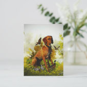 Engelse pointer, vogeljacht briefkaart (Staand voorkant)