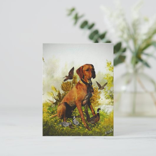 Engelse pointer, vogeljacht briefkaart (Staand voorkant)