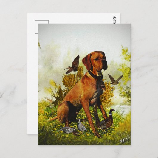 Engelse pointer, vogeljacht briefkaart (Voorkant / Achterkant)