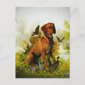 Engelse pointer, vogeljacht briefkaart (Voorkant)