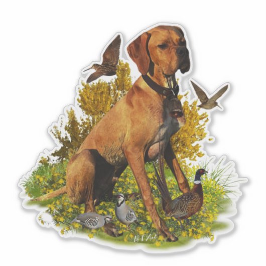 Engelse pointer, vogeljacht sticker (Voorkant)