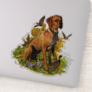Engelse pointer, vogeljacht sticker