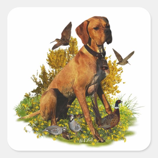 Engelse pointer, vogeljacht vierkante sticker (Voorkant)