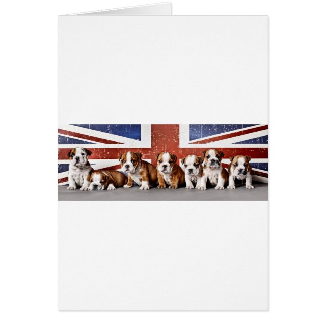 Engelse puppies (Voorkant)