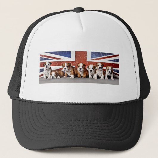 Engelse puppies trucker pet (Voorkant)