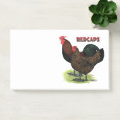 Engelse redcaps post-it® notes (Kantoor)