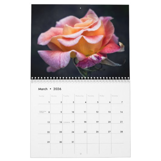 Engelse Rozen 12-maands kalender (Mar 2026)