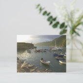Engelse scènes, Clovelly harbor Devon, Briefkaart (Staand voorkant)