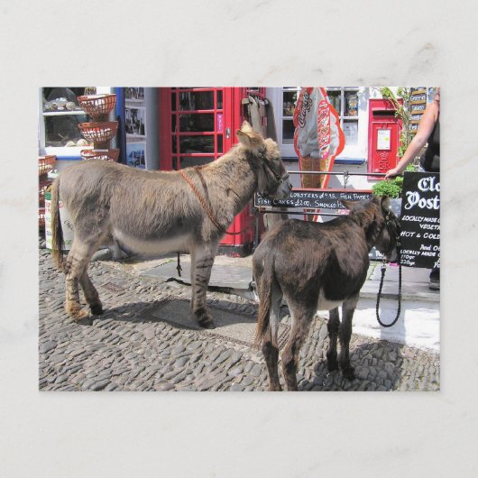 Engelse scènes, Donkeys in Clovelly, North Devon Briefkaart (Voorkant)