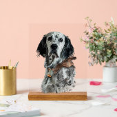 Engelse Setter Acryl Bord (Huwelijk)