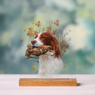 Engelse Setter Acryl Bord