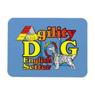 Engelse Setter Agility Magneet