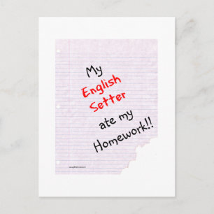 Engelse Setter at mijn huiswerk Briefkaart