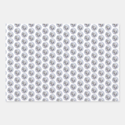 Engelse Setter Blue Belton schilder Dog Art Inpakpapier Vel (Voorkant 2)