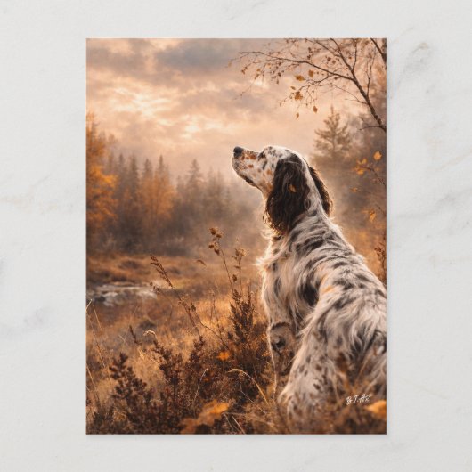 Engelse Setter Briefkaart (Voorkant)