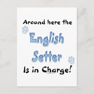 Engelse Setter Charge Briefkaart
