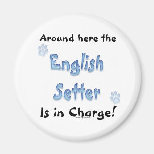 Engelse Setter Charge - Magnet