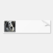 Engelse Setter Dog Bumperstickers (Voorkant)