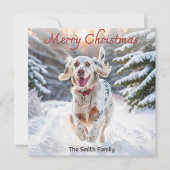 Engelse Setter Dog Snow Waterverf Vrolijk Kerstfee Feestdagenkaart (Voorkant)