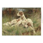 — Engelse Setter Dogs in the Field, (Voorkant Horizontaal)