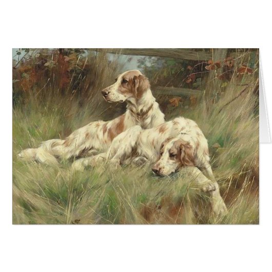 — Engelse Setter Dogs in the Field, (Voorkant Horizontaal)