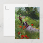 Engelse Setter, fazantjacht Feestdagenkaart (Voorkant / Achterkant)