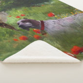 Engelse Setter, fazantjacht Sherpa Deken (3/4)