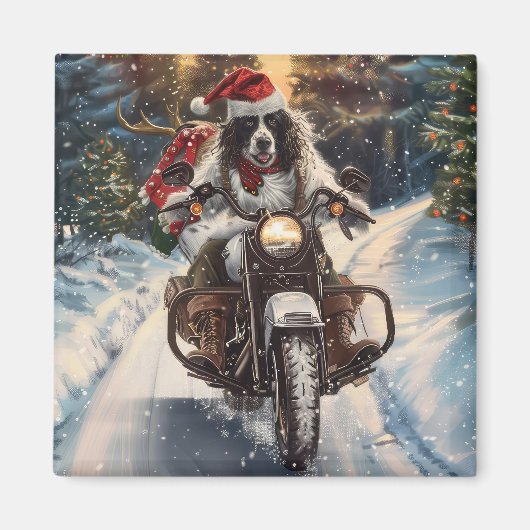 Engelse Setter-hond rijdt op motorfiets met Kerstm Magneet (Voorkant)