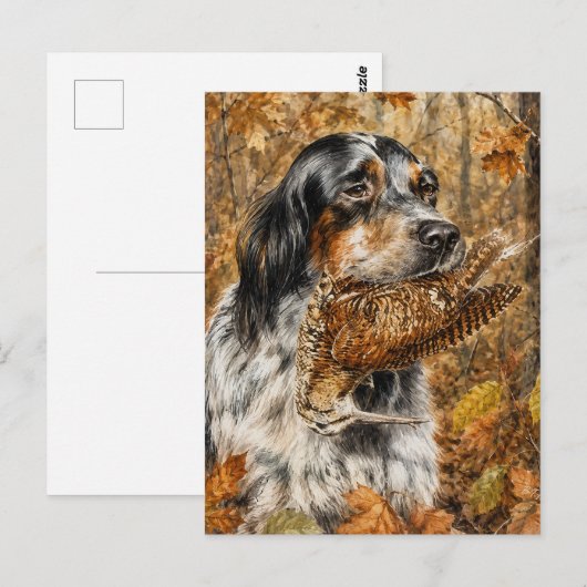 Engelse Setter, houtsnip jagen Briefkaart (Voorkant / Achterkant)