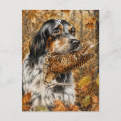 Engelse Setter, houtsnip jagen Briefkaart (Voorkant)